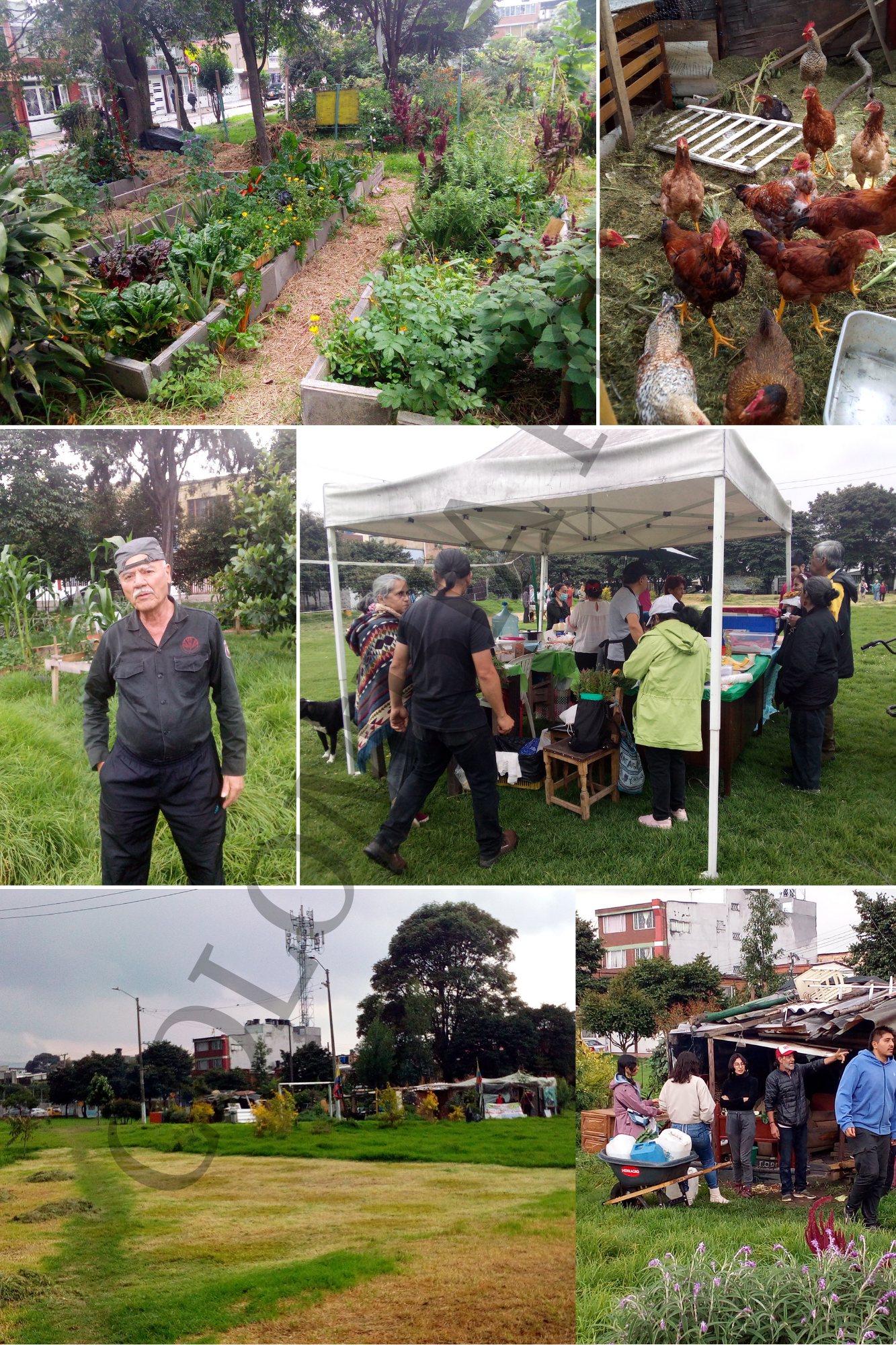Huerta los Copetones / Fotos P.A.S.